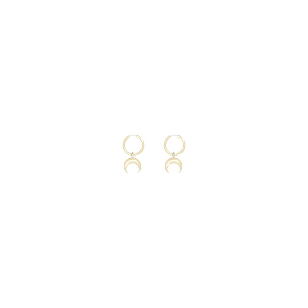 Pendant Earrings
